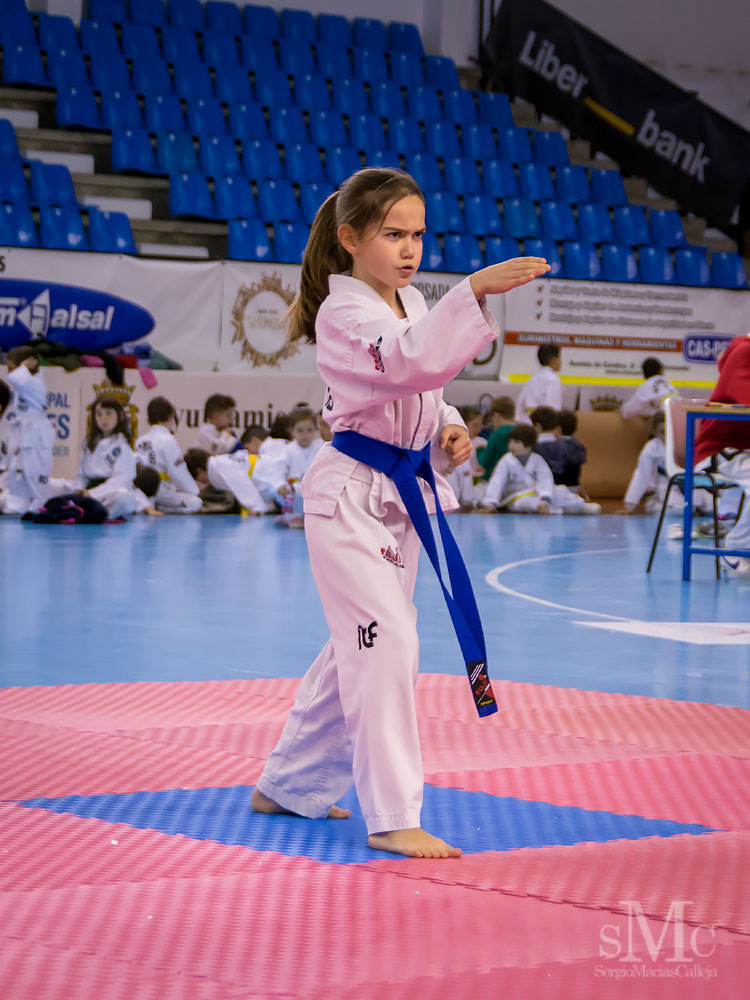 TAEKWONDO CAMPEONATO PAREJAS ABRIL 2018_1794.jpg